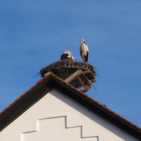Haus Sonntag Frickingen
